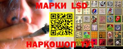 шишки Будённовск