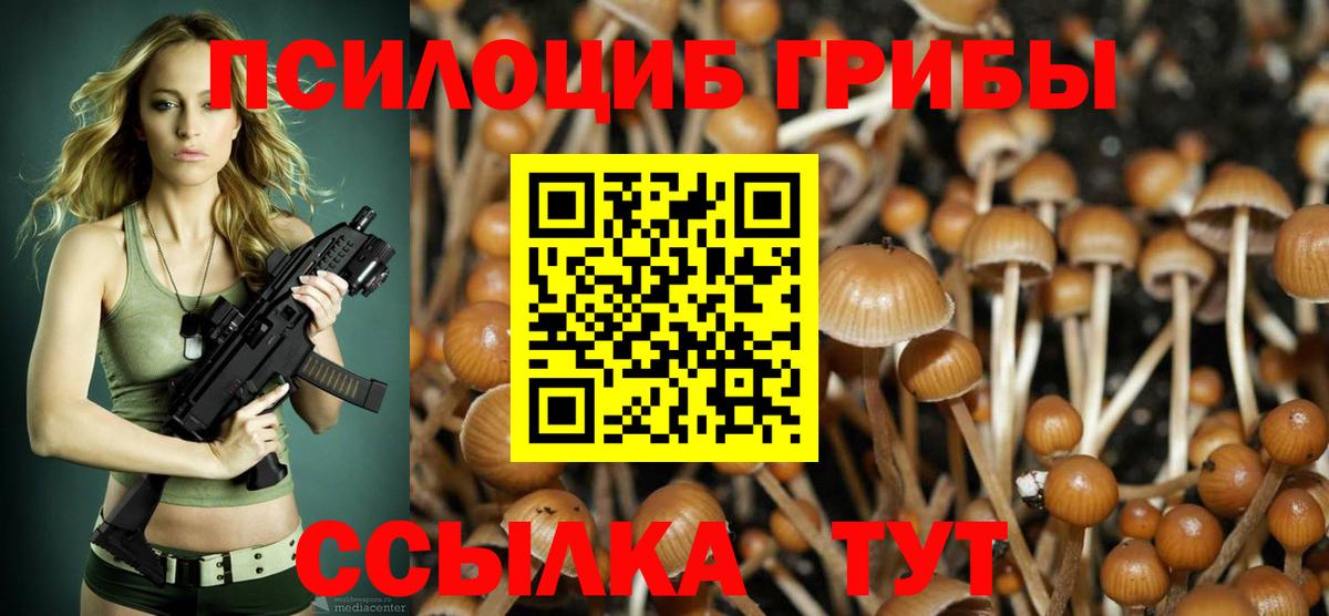 Псилоцибиновые грибы GOLDEN TEACHER  Псилоцибиновые грибы Psilocybine cubensis  Кинешма  Вход с VPN 