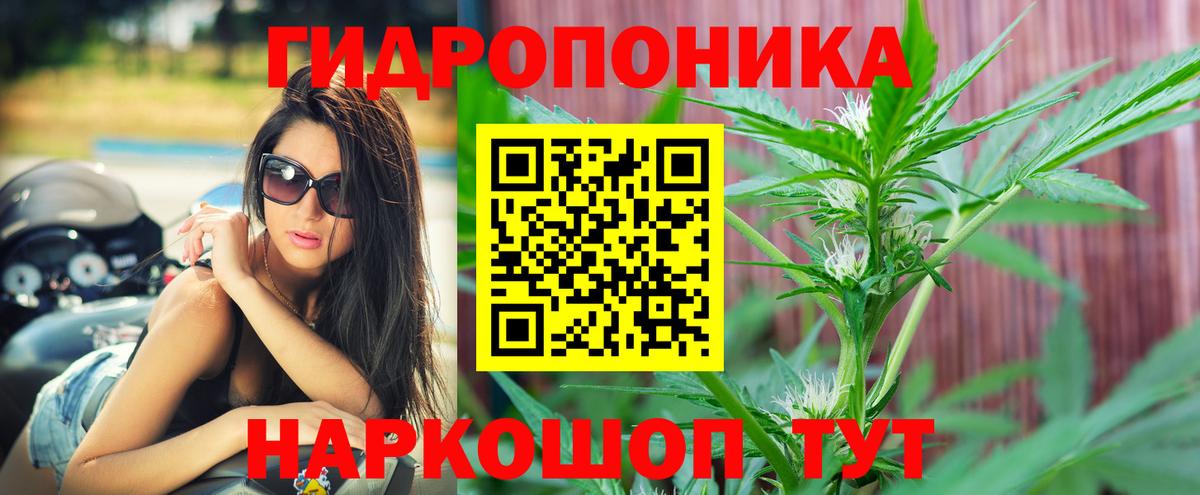 Кинешма  Марихуана OG Kush  Бошки марихуана THC 21%  Вход с VPN 